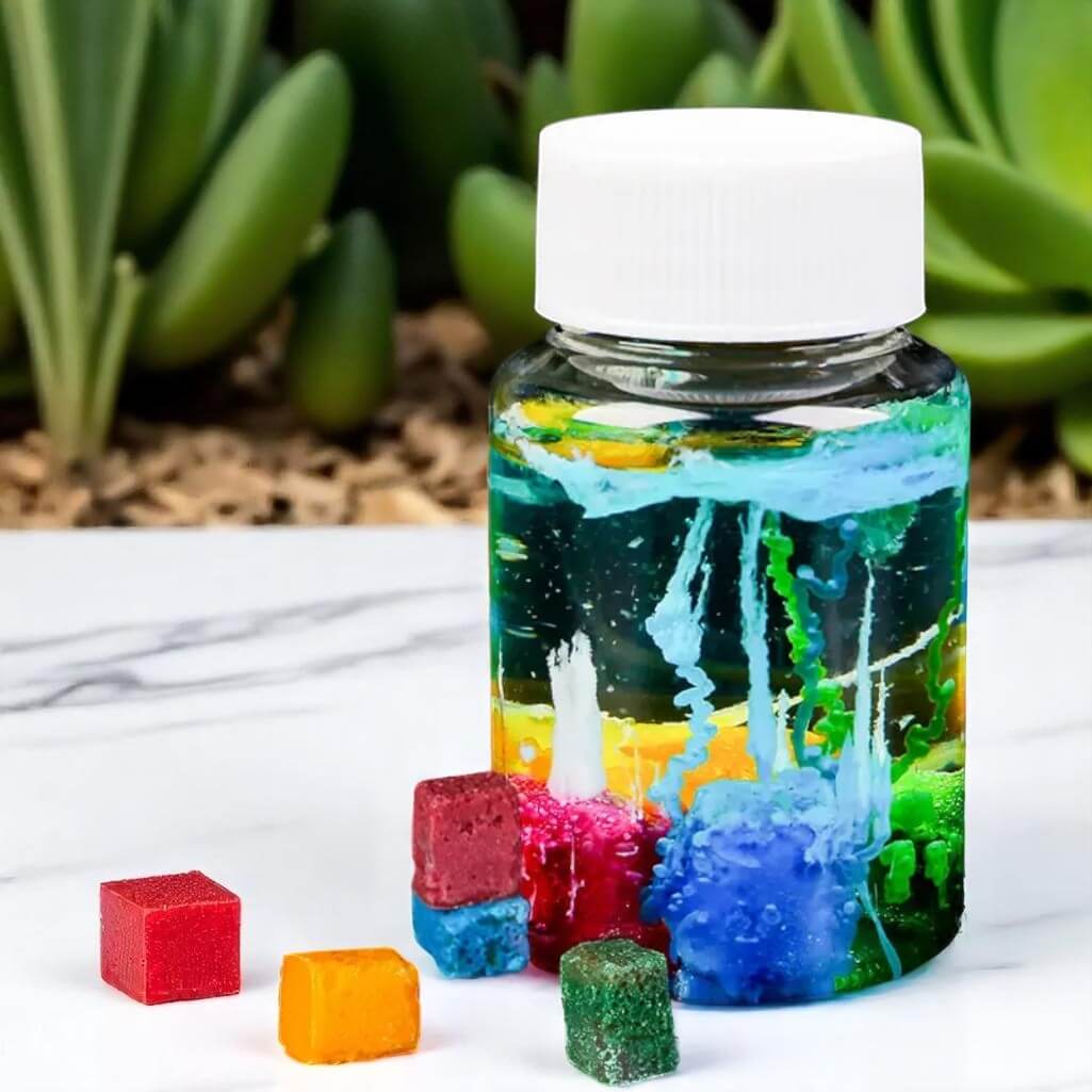 Kit Jardin Chimique – Image 2