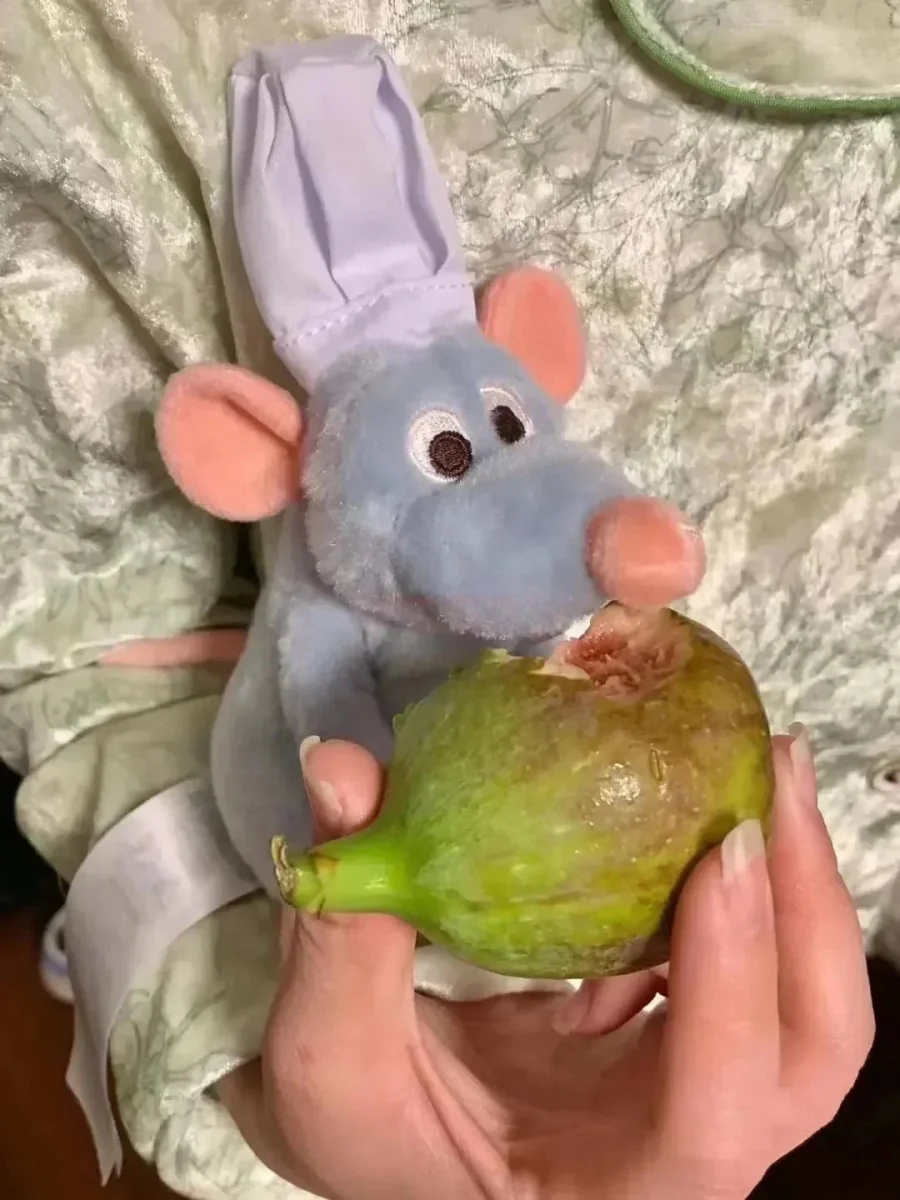 Peluche Chef Rémy Ratatouille 16CM – Image 4